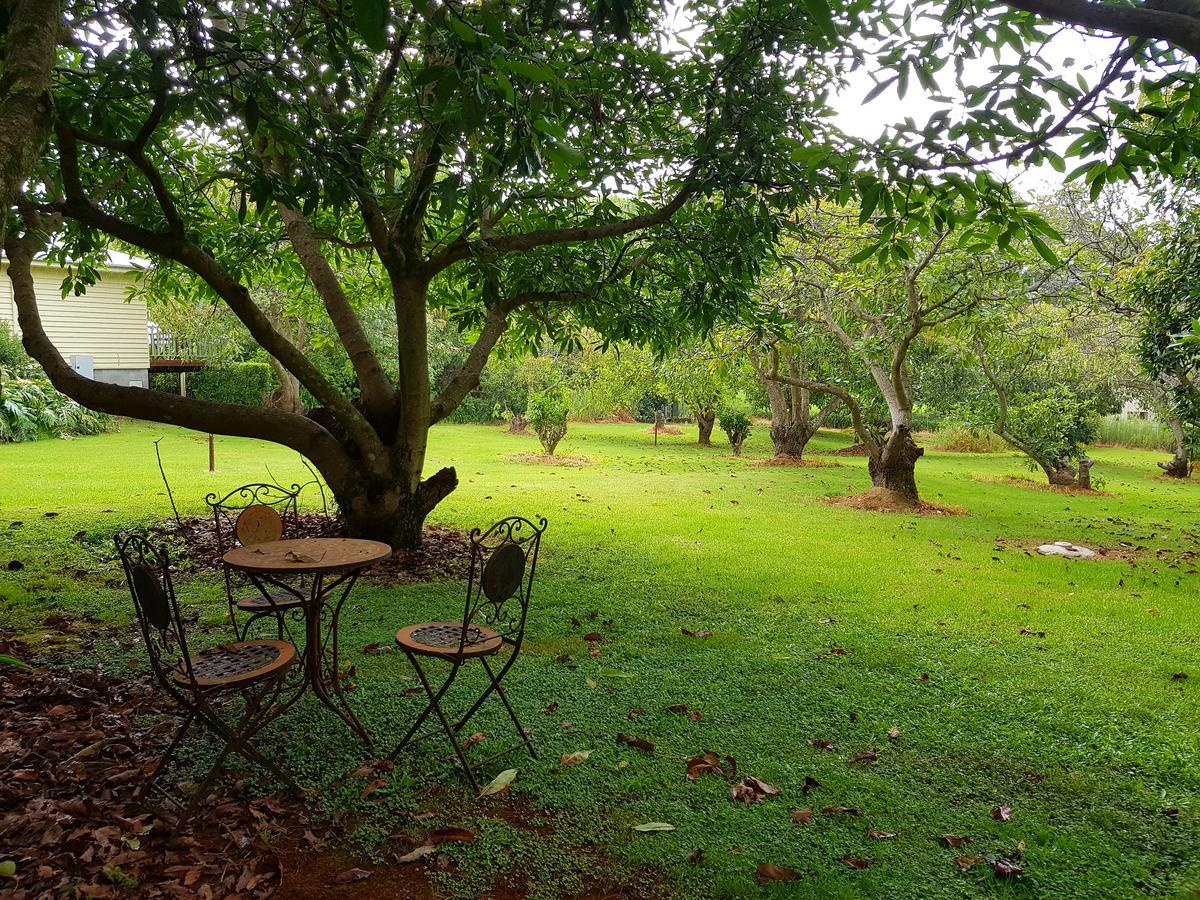 Camelot Boutique Accommodation Núi Tamborine Ngoại thất bức ảnh