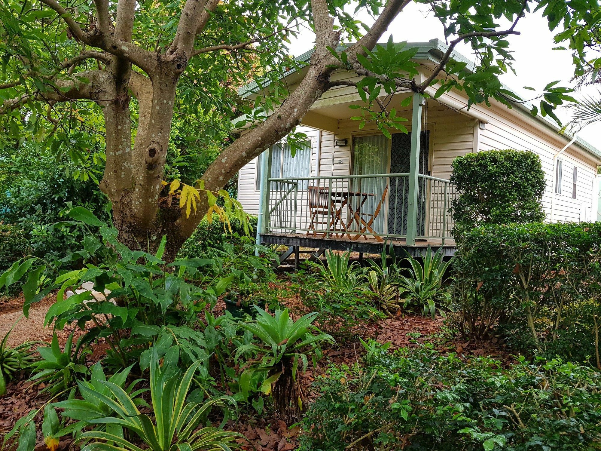 Camelot Boutique Accommodation Núi Tamborine Ngoại thất bức ảnh